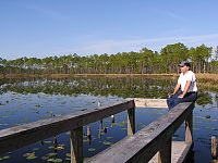 Lake Godwin