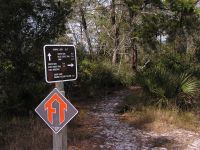 Florida Trail Sign