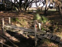 Foot Bridge