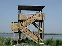 Observation Tower