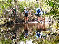 Creek Crossing