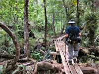 Buscombe Creek Crossing