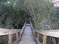 Bridge near Horseshoe Lake