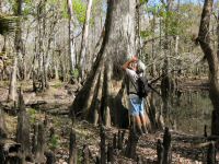 Big Cypress