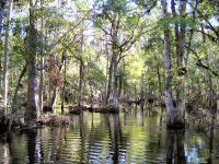 Flooded Trail