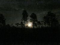 Full Moon Hike