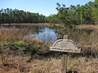 Eastbrook Wetlands