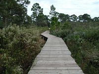 Boardwalk