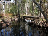 Mills Creek Bridge