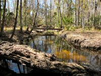 Mills Creek Crossing