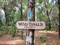 Wiley Dykes Sign