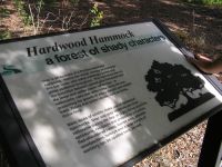 Hardwood Hammock Plaque