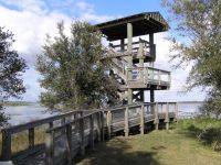 Lake Jackson Observation Tower