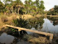 Foot Bridge