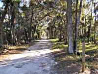 Powerline Road Trail