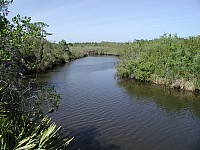 North Prong St. Sebastian River