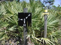 Trail Markers