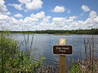 Fish Hawk Pond