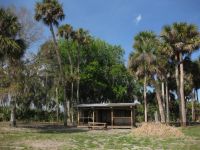 Hatbill Shelter