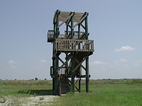 T.M. Goodwin Observation Tower