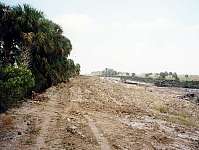 Torn Up Levee