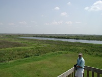 Observation Tower View