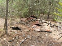 Buncombe Hill Turpentine Camp Ruins