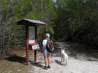 Buncombe Hill Trailhead