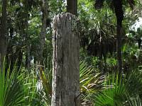 Fish Holes Camp Pole in 2009