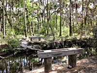 Tootoosahatchee Bridge Pilings in 2012