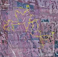 Color Infrared Aerial Map