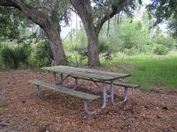 Picnic Table